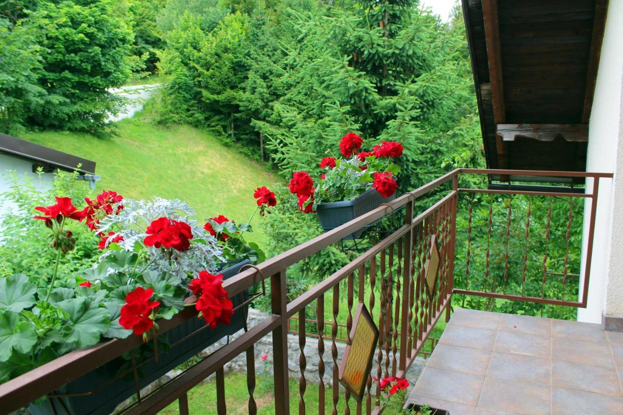 Kuca Za Odmor Cicki Vrh Brestova Draga Exterior foto