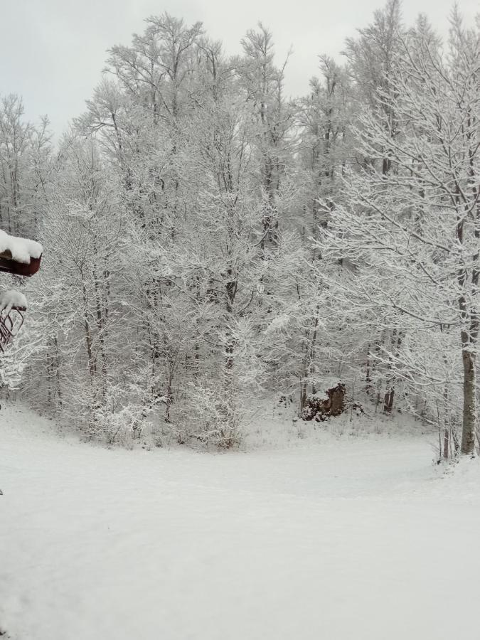 Kuca Za Odmor Cicki Vrh Brestova Draga Exterior foto